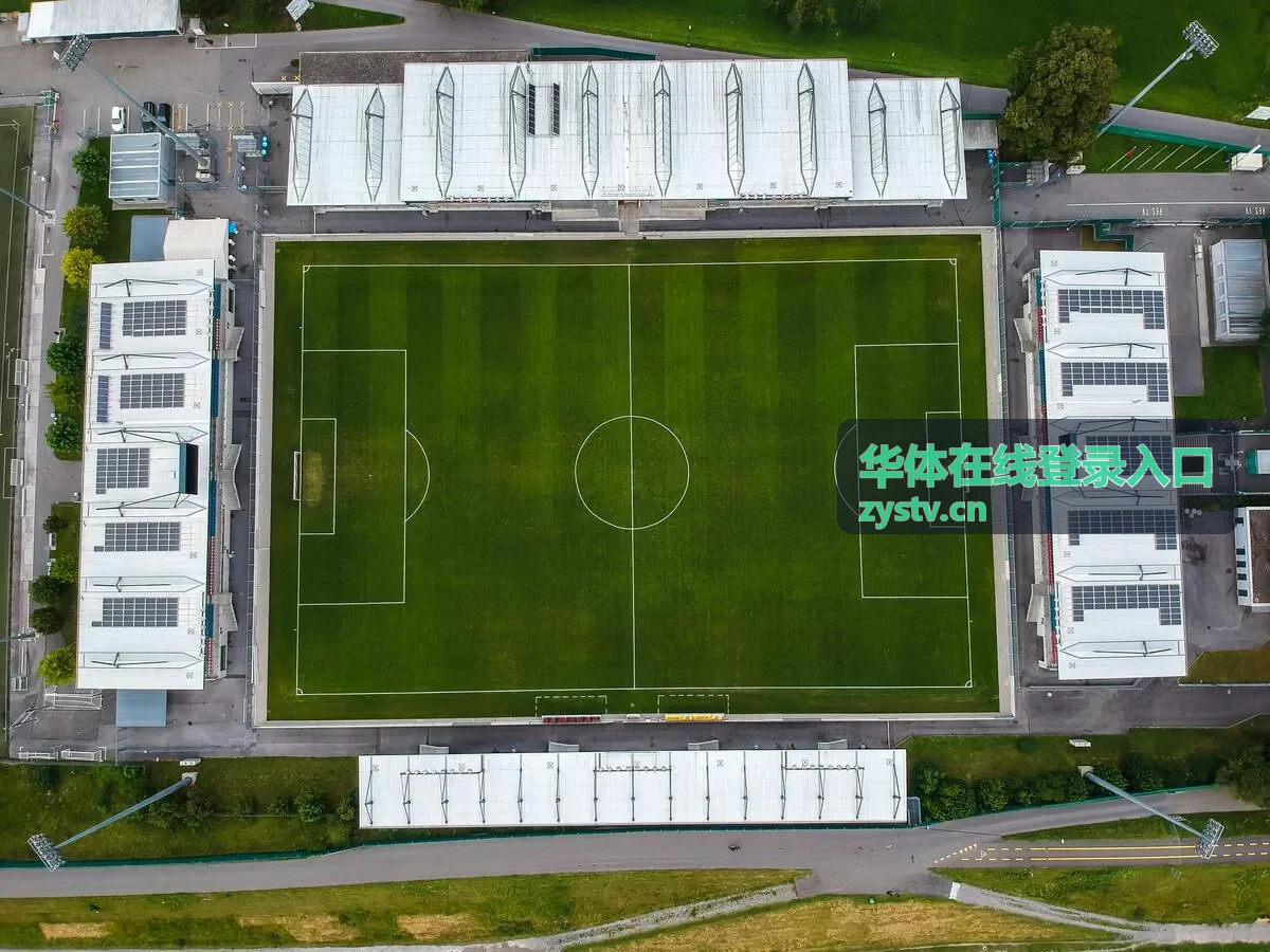 华体在线登录入口的账号安全设置示意